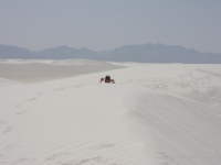 IMG 0043