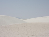 IMG 0054