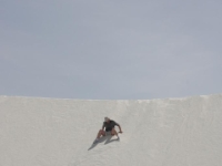 IMG 0055