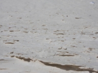 IMG 0060