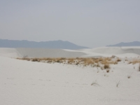 IMG 0066