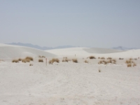 IMG 0067