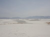 IMG 0068