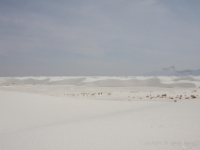 IMG 0069