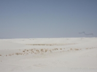 IMG 0074
