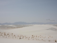IMG 0076