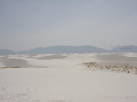 IMG 0078