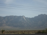 IMG 0121