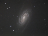 070518 ngc2903-LRGB AL CSa