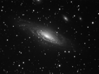 070721-NGC7331-6x10 csni  Deer Lick Group