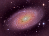 20160315 SP  M81 LRGB 8x10m cr 1024  Here is my interpretation of M81.  The beginning of Spring brings the asterism of the Big Dipper on Ursa Major high in the sky and very close to this recognizable shape in the sky is the impressive face-on spiral galaxy M81.  M81 is about 12 million light years away but it is quite bright at magnitude 6.9 so it is visible in moderate size telescopes.  This image is composed of 1 hour and a half each of Luminance, Red, Green and Blue (LRGB) light for a total of 6 hours of exposure. Date: 3/15/16 Location: Hutville, OH Mount: Paramount ME Camera: Apogee CG16M Optics: Planewave CDK-17 Exposure: L=R=G=B = 9x600 secs Processing: PixInsight