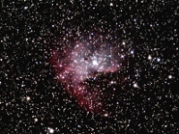 04922 N281 20D TV85 7x5m ddp