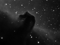 060121-horsehead-3x10L ddp