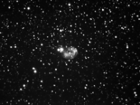 070901 ngc7008 4x10 cs ni