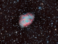 121109 M1 LHaRGB  On July 4, 1054 the Chinese recorded the appearance of a new star close to the one of the horns in the constellation of Taurus (The Bull). The star was so bright that it could be seen even during the daytime hours.  In the 18th century Charles Messier observed the remnants of that supernova and made it the first item of his now famous Messier Catalogue.  M1 The Crab Nebula is about 6300 light years away from us and is one of the very few objects in the sky that show significant differences from the first time that was imaged to the present.  My rendition of this object includes more than 8 hours of Luminance, Ha, Red, Green and Blue data taken in late 2012 and late 2013. Image Details: Date:11/9/13 Location: Hutville, OH Mount: Paramount ME Camera: Apogee U16M Optics: Planewave CDK-17 Exposure: L=12x600 secs + 8x300 secs, R=12x600 secs + 8x300 secs, G=12x600 secs + 6x300 secs, B=12x600 secs + 6x300 secs, Ha=3x1200 secs Processing: PixInsight