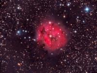 20140820 IC5146 Cocoon LRGB 6x300s  In the constellation of Cygnus (the Swan) lies IC 5146 the Cocoon Nebula.  This huge cloud of excited hydrogen spans 15 light-years  and is about 3300 light-years away.  This nebula is quite bright at magnitude 7.2 can be seen with modest telescopes from relatively dark sites.  I may add more data later on as this image is composed of 30 minutes each on Luminosity, Red, Green and Blue for a total of 2 hours of exposure. Image Details: Date:8/20/14 Location: Hutville, OH Mount: Paramount ME Camera: Apogee CG16M Optics: Planewave CDK-17 Exposure: L=R=G=B = 6x300 secs Processing: PixInsight