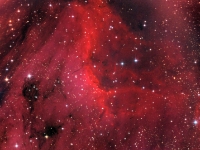 20150814 Pelican 12x600 LRGB  Here is my interpretation of IC5067 The Pelican Nebula.  In the Summer the constellation of Cygnus (The Swan) rides high in the sky and it brings within it this complex collection of excited Hydrogen gas and stellar nurseries.  The Pelican is in our Milky Way about 1800 light-years distant.  It is relatively bright so it is visible in moderate size telescopes.  This complex also contains an ionization front Herbig-Haro 555, is visible at the end of the finger of dust that extends to the left near the middle of the Pelican's neck. theThe prominent blue star near the bottom is 57 Cygni, at magnitude 5 is barely visible with the naked eye in a suburban setting.  This image is composed of 2 hour each of Luminance, Red, Green and Blue (LRGB) light for a total of 8 hours of exposure. Date:8/14/15 Location: Hutville, OH Mount: Paramount ME Camera: Apogee CG16M Optics: Planewave CDK-17 Exposure: L=R=G=B = 12x600 secs Processing: PixInsight