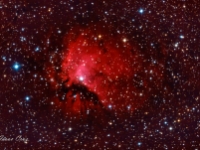 20160625 Sh2-112 LHaRGB 5x10m  Here is my interpretation of Sharpless 2-112.  With the onset of Summer the constellation of Cygnus (The Swan) begins to rise earlier in the evening.  The Milky Way bisects this constellation and it is full of very interesting Ha and H II nebulae.  Close to the star of Deneb, the tail of the swan, lies a very faint patch of H II nebulosity catalogued by Sharpless as 2-112.  Sh2-122 is about 1800 light years distant, it is quite faint so it is a challenging object even with moderate size telescopes.  This image is composed of 1 hour each of Luminance, Hydrogen alpha, Red, Green and Blue (LHaRGB) light for a total of 5 hours of exposure.  Processed entirely with PixInsight. Date: 6/25/16 Location: Hutville, OH Mount: Paramount ME Camera: Apogee CG16M Optics: Planewave CDK-17 Exposure: L=Ha=R=G=B = 6x600 secs Processing: PixInsight