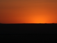 IMG 1741  Annular Solar Eclipse