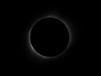 2017 TSE ICruz Prominences